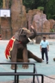 [中國][番禺][Travel]