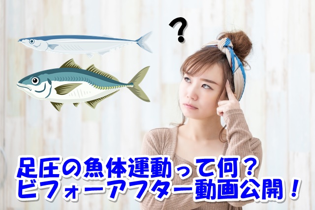 f:id:hkit0203:20210411163428j:plain
