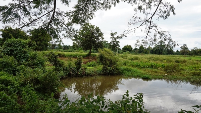 laongam_weekend_tranquil