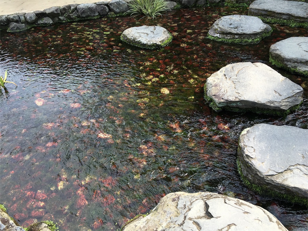 f:id:hksw00:20170219100010j:image