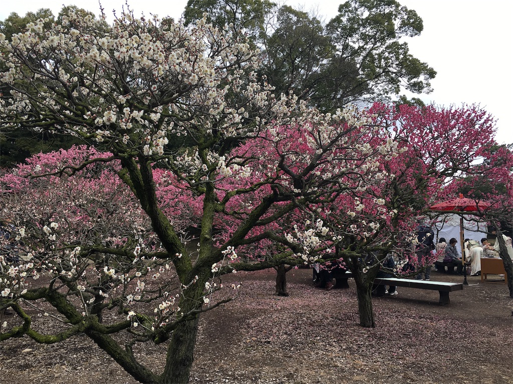 f:id:hksw00:20170219100055j:image