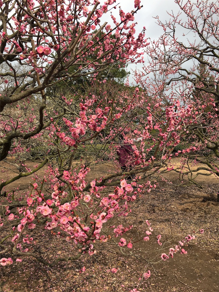 f:id:hksw00:20170219100109j:image