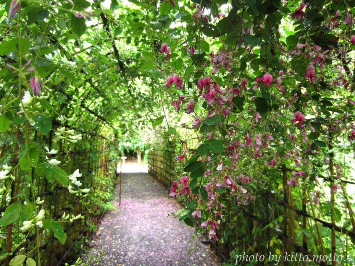 ハギのトンネル