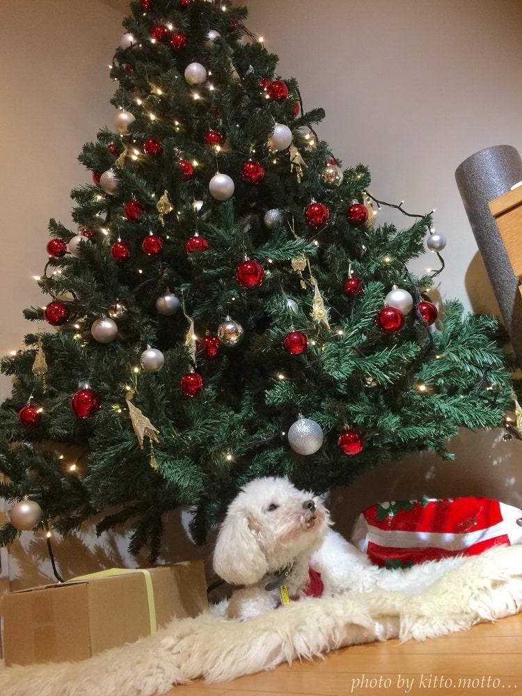 クリスマスツリー