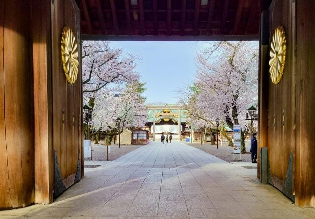 鳥居越しにみるサクラ並木