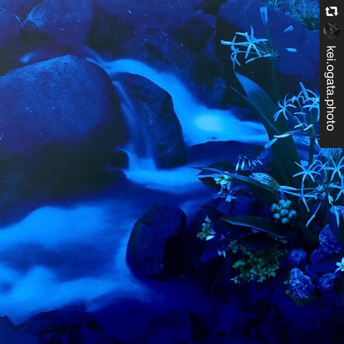 f:id:hm-eternally:20211224094805j:plain