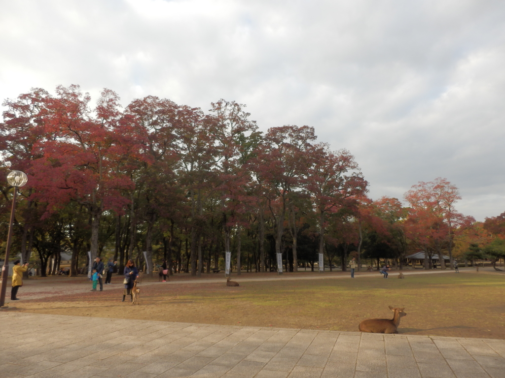 f:id:hmatsu47:20161104235425j:plain f:id:hmatsu47:20161104235425j:plain