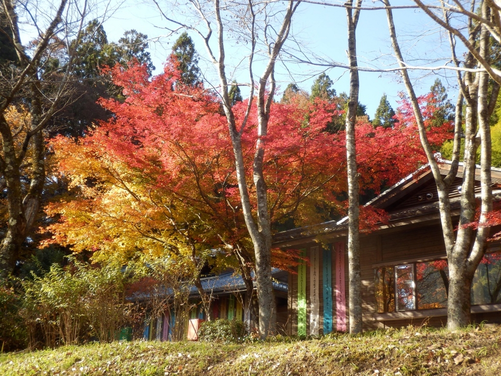 f:id:hmatsu47:20161113214510j:plain