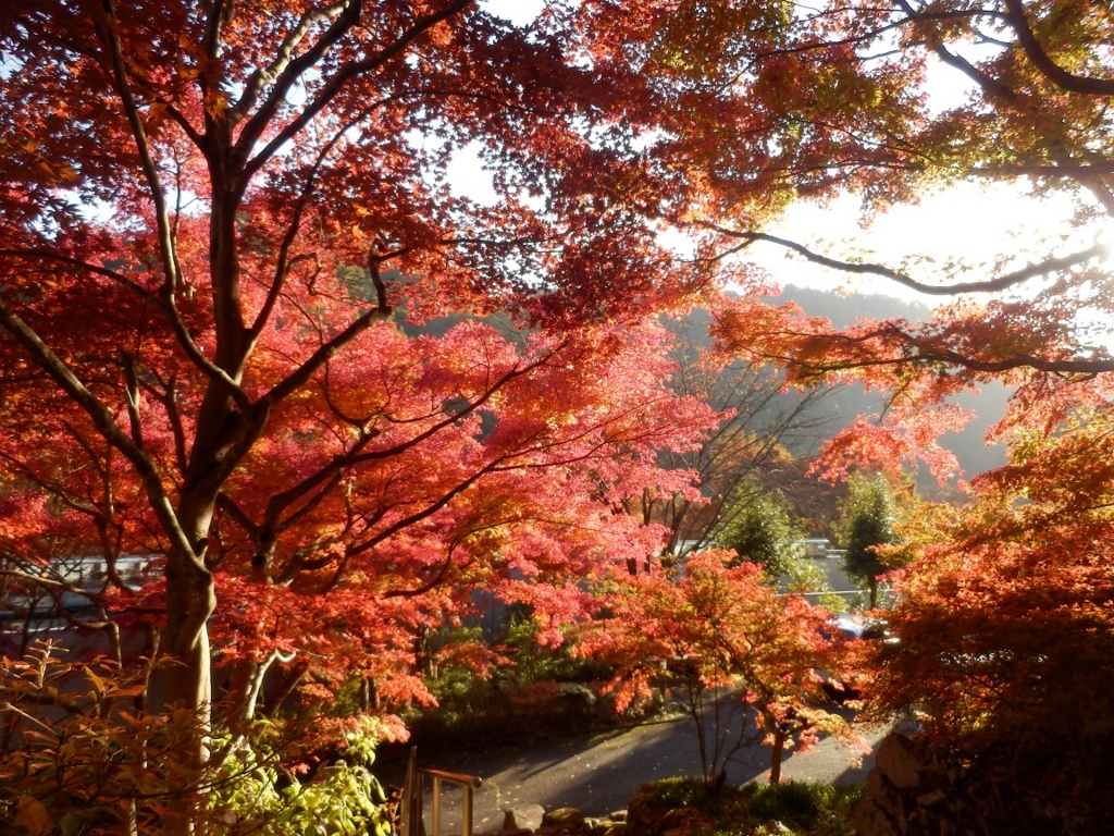 f:id:hmatsu47:20161113215604j:plain