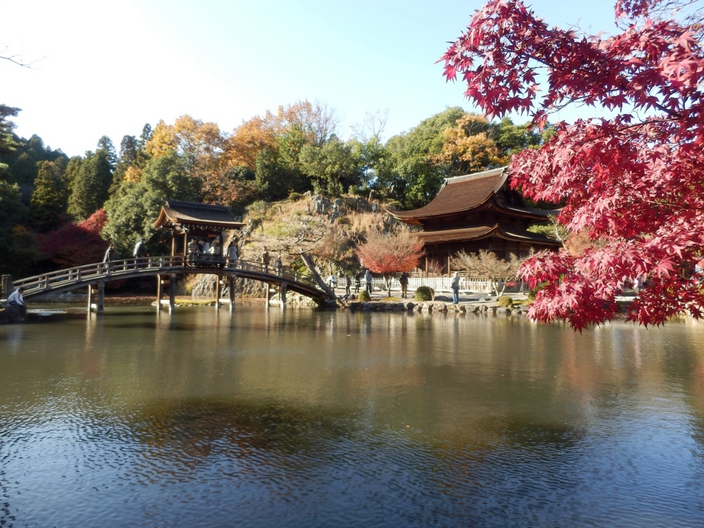 f:id:hmatsu47:20161123224613j:plain