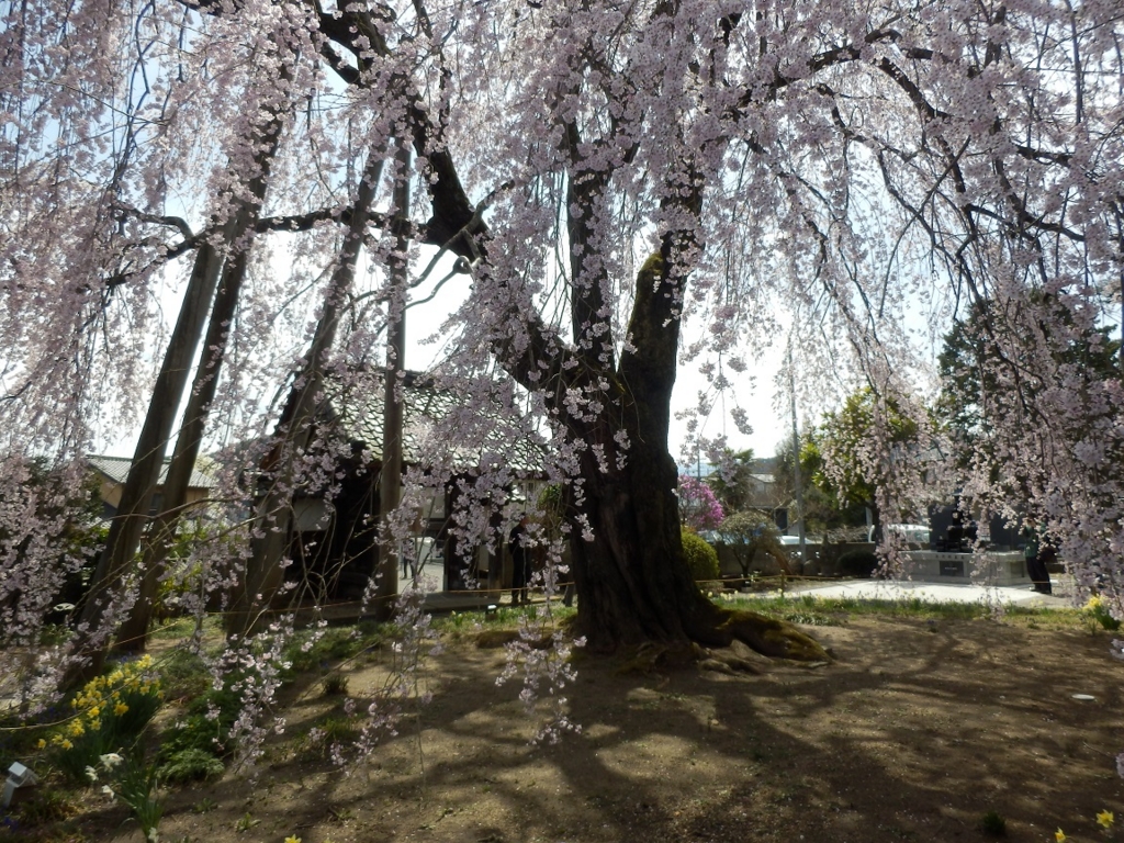 f:id:hmatsu47:20170416214321j:plain