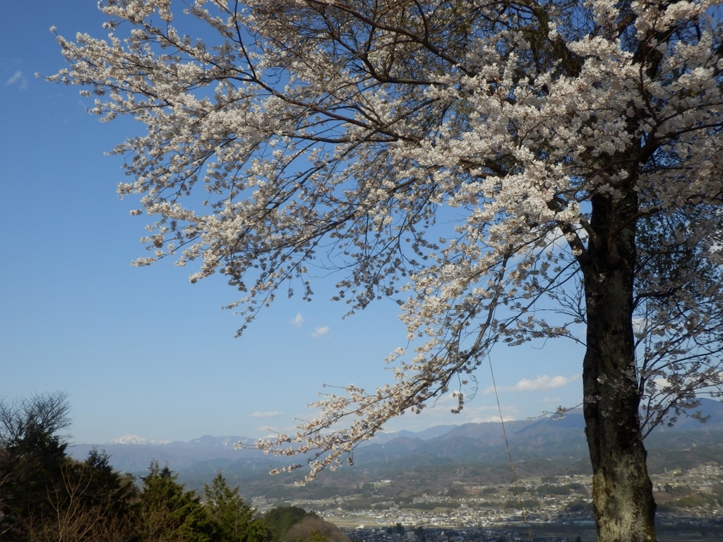 f:id:hmatsu47:20170416215508j:plain