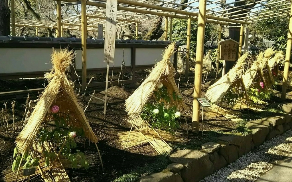 f:id:hmatsu47:20180207232634j:plain f:id:hmatsu47:20180207232634j:plain