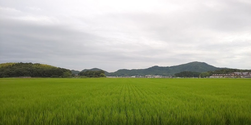 f:id:hmatsu47:20180904235117j:plain
