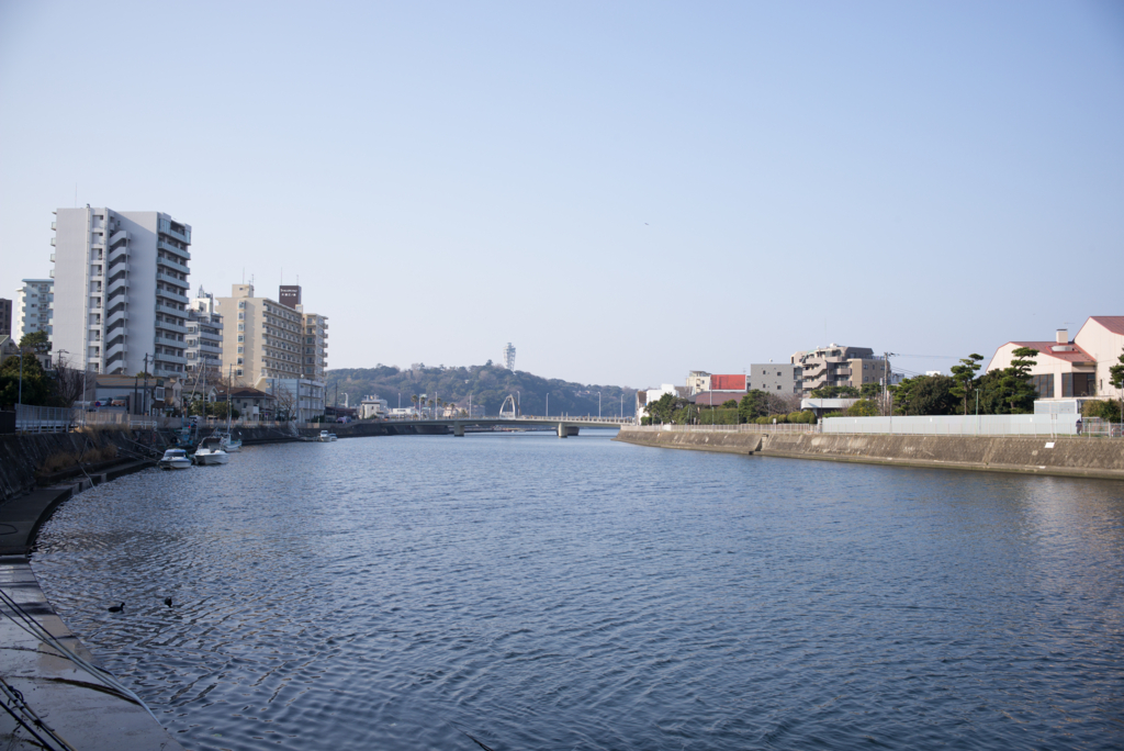 f:id:hmatsumoto1958:20170320180012j:plain f:id:hmatsumoto1958:20170320180012j:plain