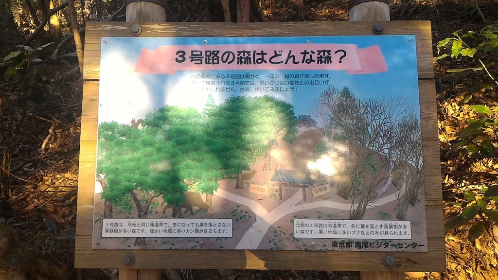 f:id:hmbdyh:20181228072341j:plain