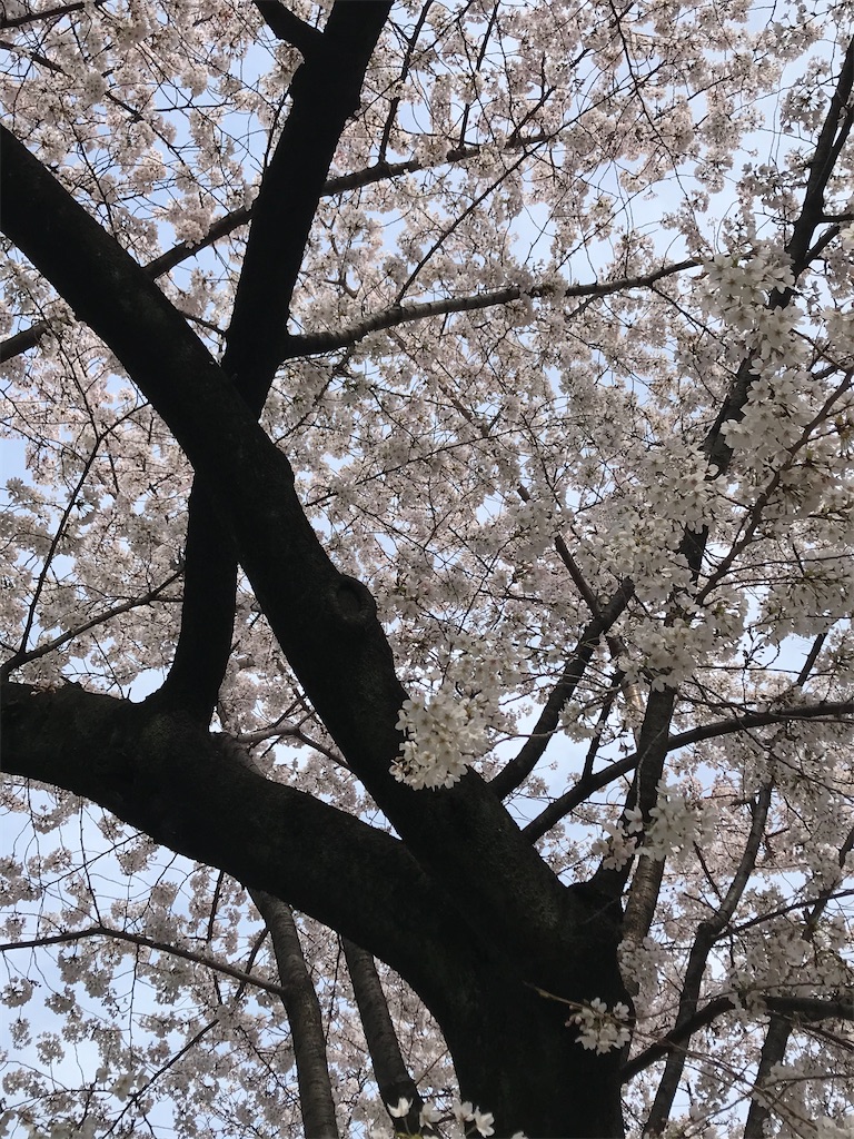 f:id:hmdance:20200326062831j:image
