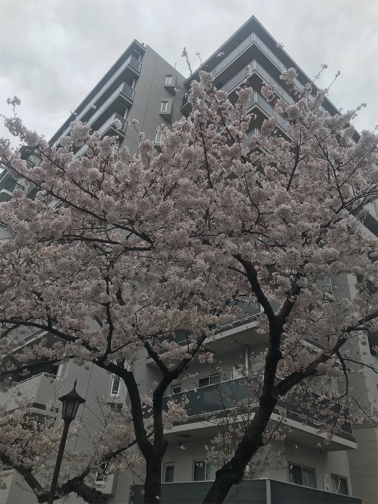 f:id:hmdance:20200328161430j:image
