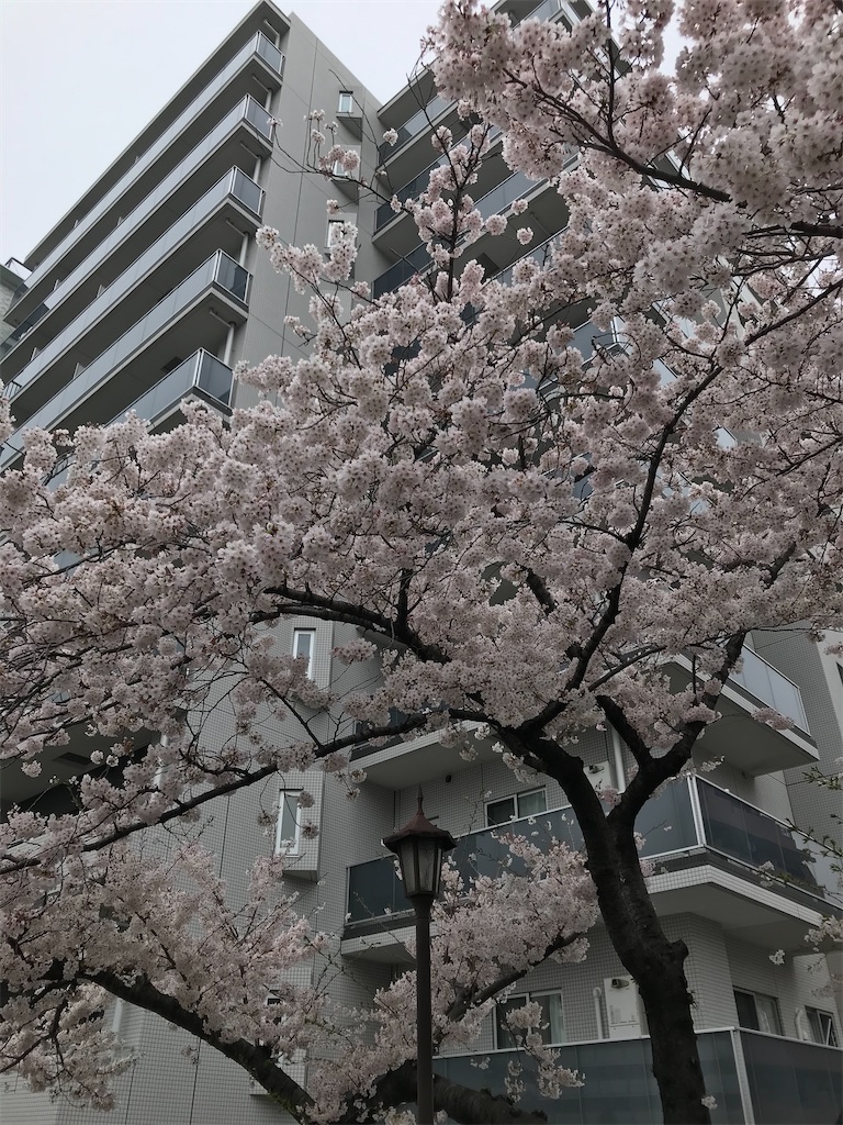 f:id:hmdance:20200331193138j:image