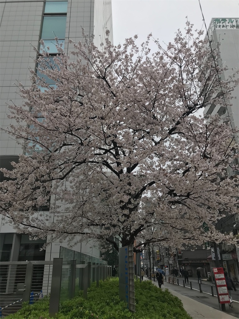 f:id:hmdance:20200401201144j:image