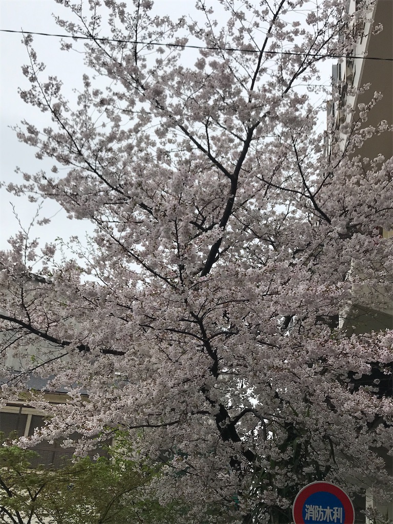 f:id:hmdance:20200401201208j:image