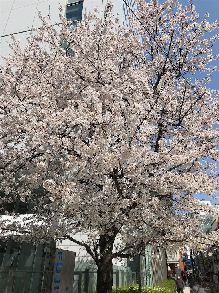 f:id:hmdance:20200403184632j:image