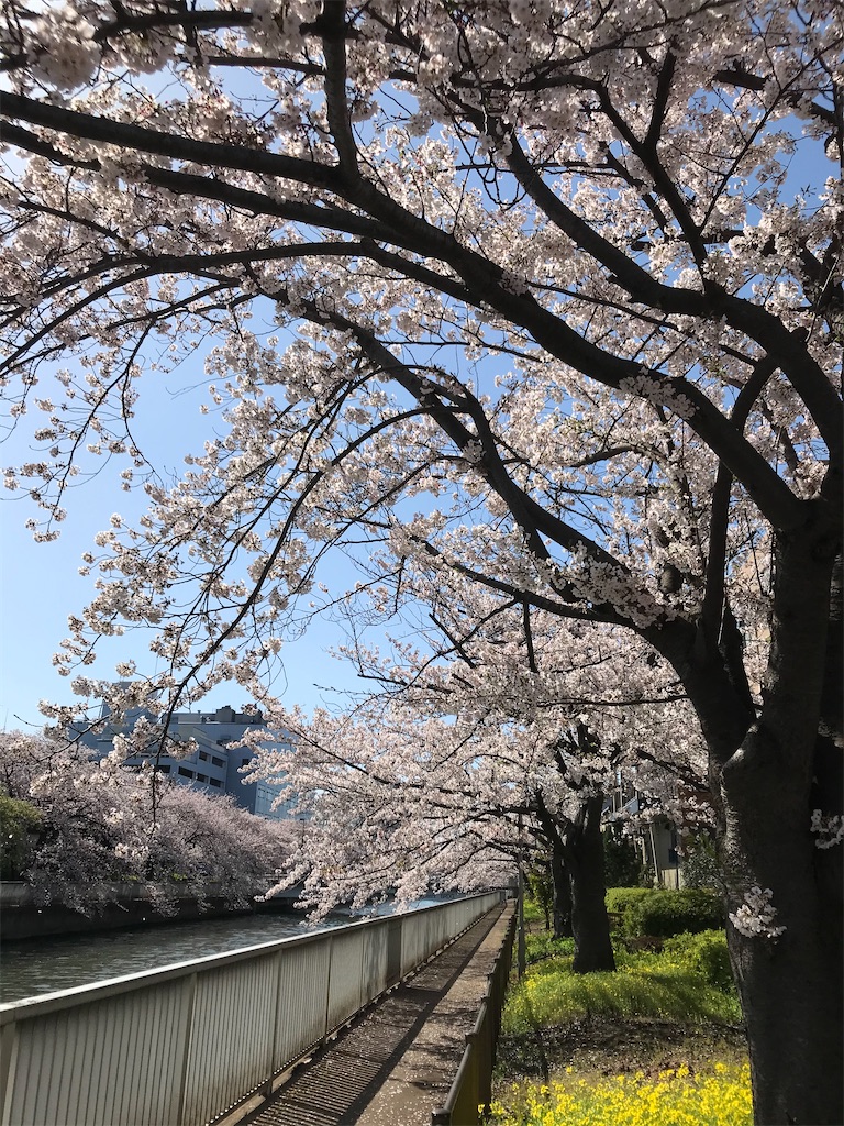 f:id:hmdance:20200403184649j:image