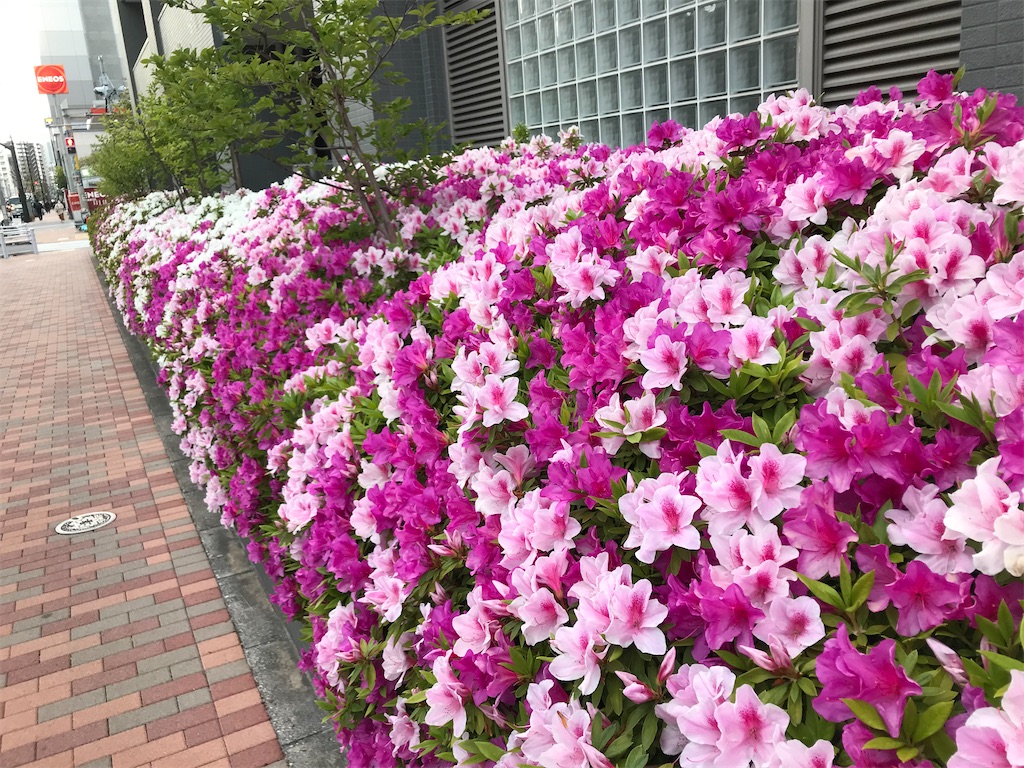 f:id:hmdance:20200411185634j:image