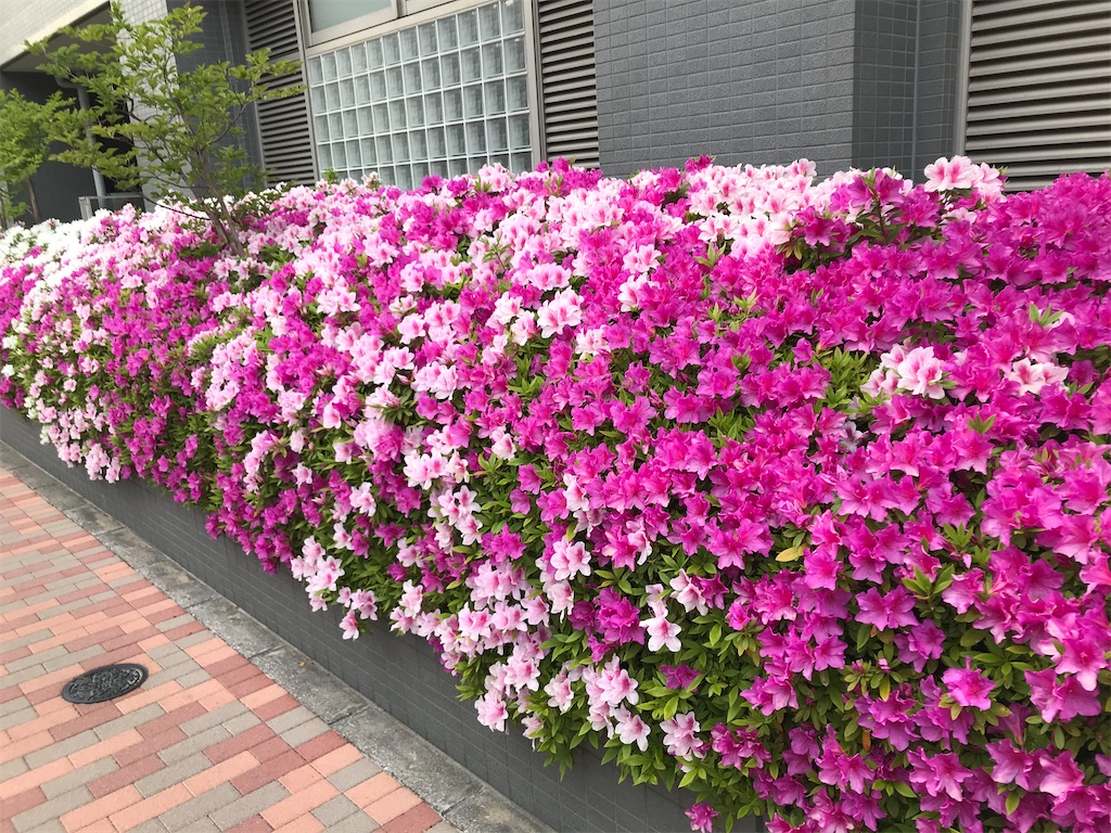 f:id:hmdance:20200411185638j:image