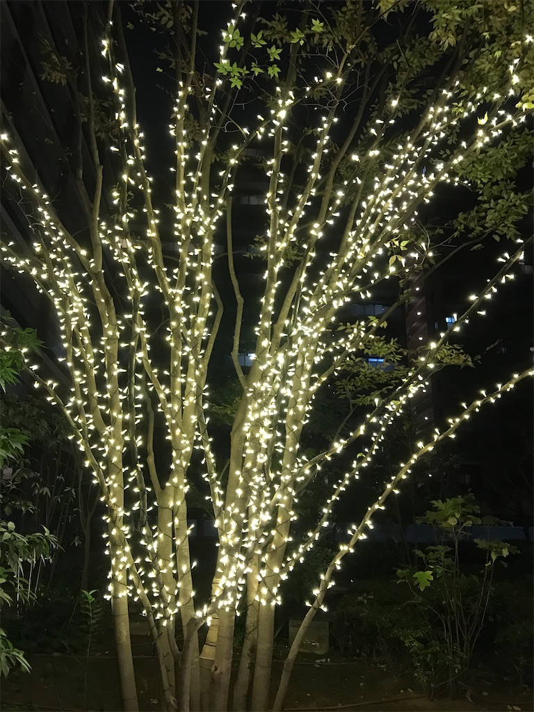 f:id:hmdance:20201211212512j:image