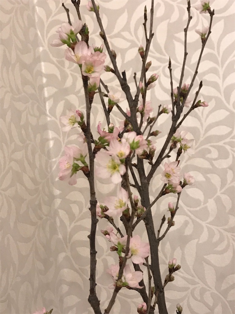 f:id:hmdance:20210122204841j:image