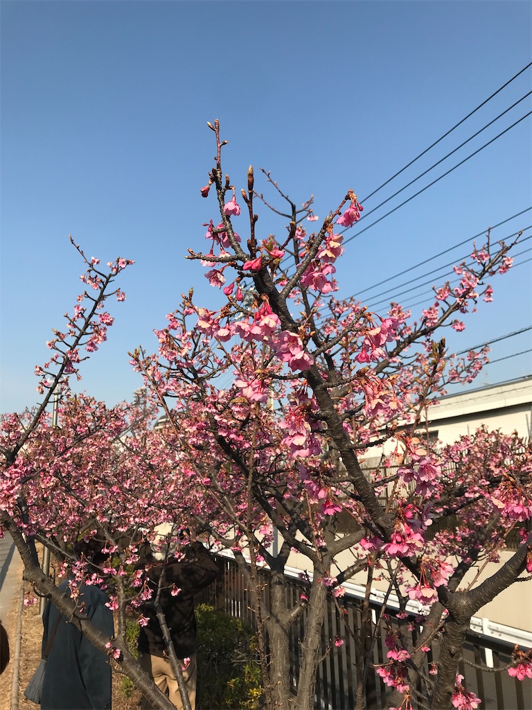 f:id:hmdance:20210207194537j:image