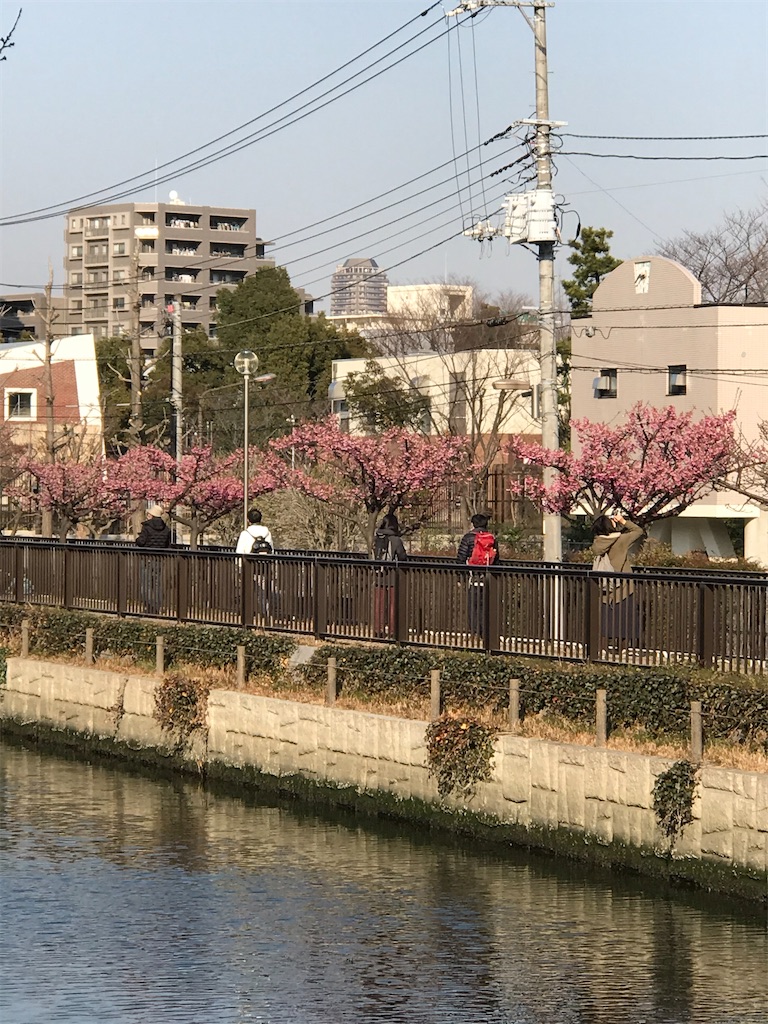 f:id:hmdance:20210207194550j:image