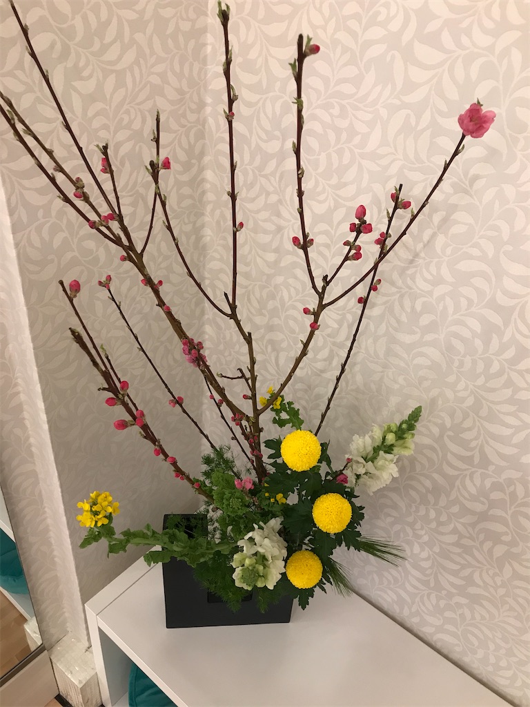 f:id:hmdance:20210302001625j:image
