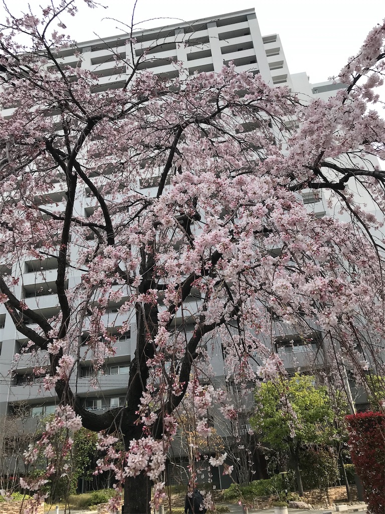 f:id:hmdance:20210319224124j:image