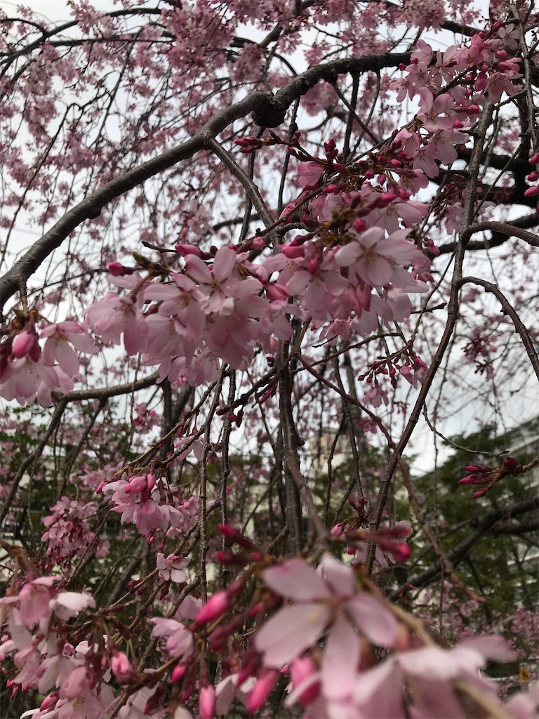 f:id:hmdance:20210319224128j:image