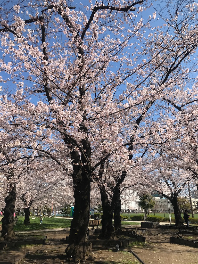 f:id:hmdance:20210324063704j:image