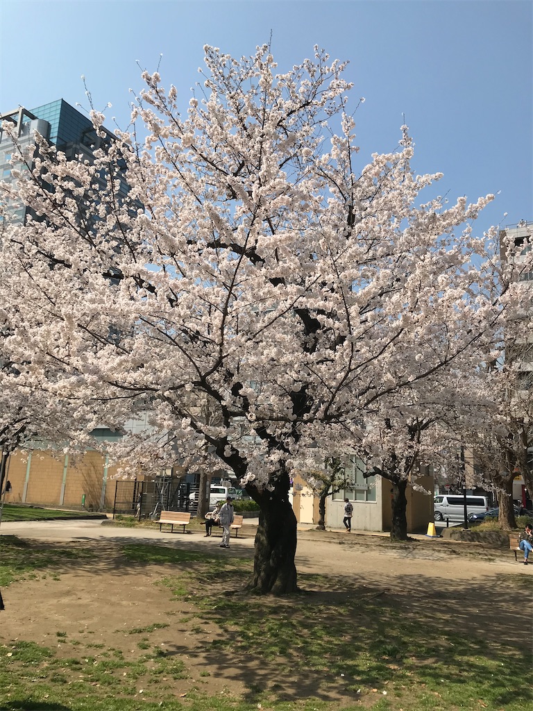 f:id:hmdance:20210324224903j:image