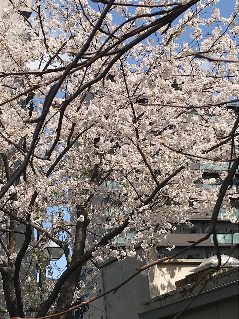 f:id:hmdance:20210329225556j:image