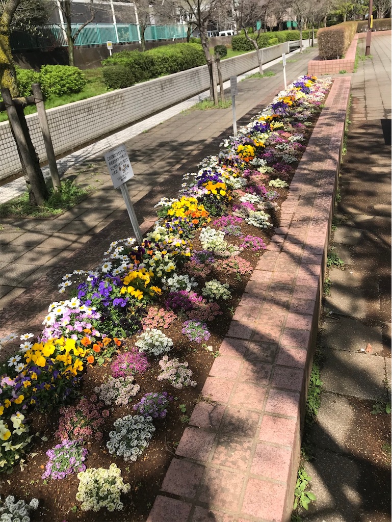 f:id:hmdance:20210329225737j:image