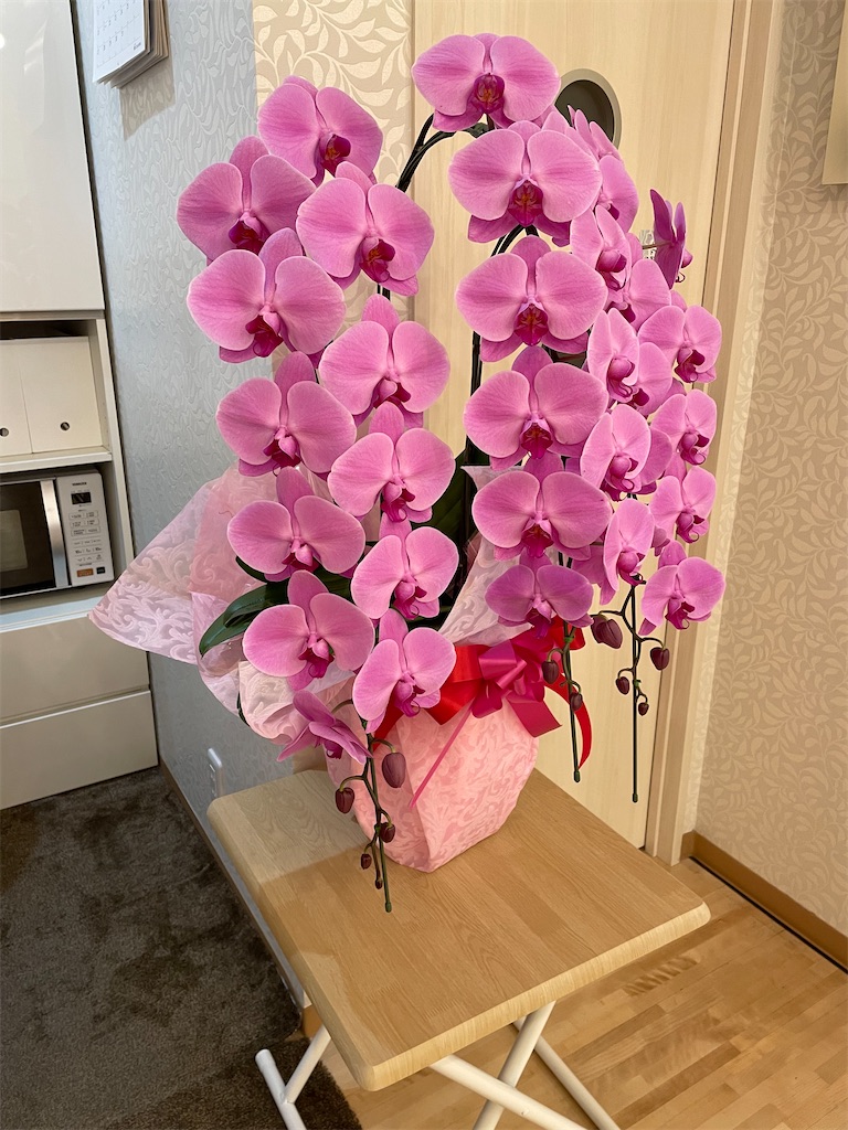 f:id:hmdance:20220312132839j:image