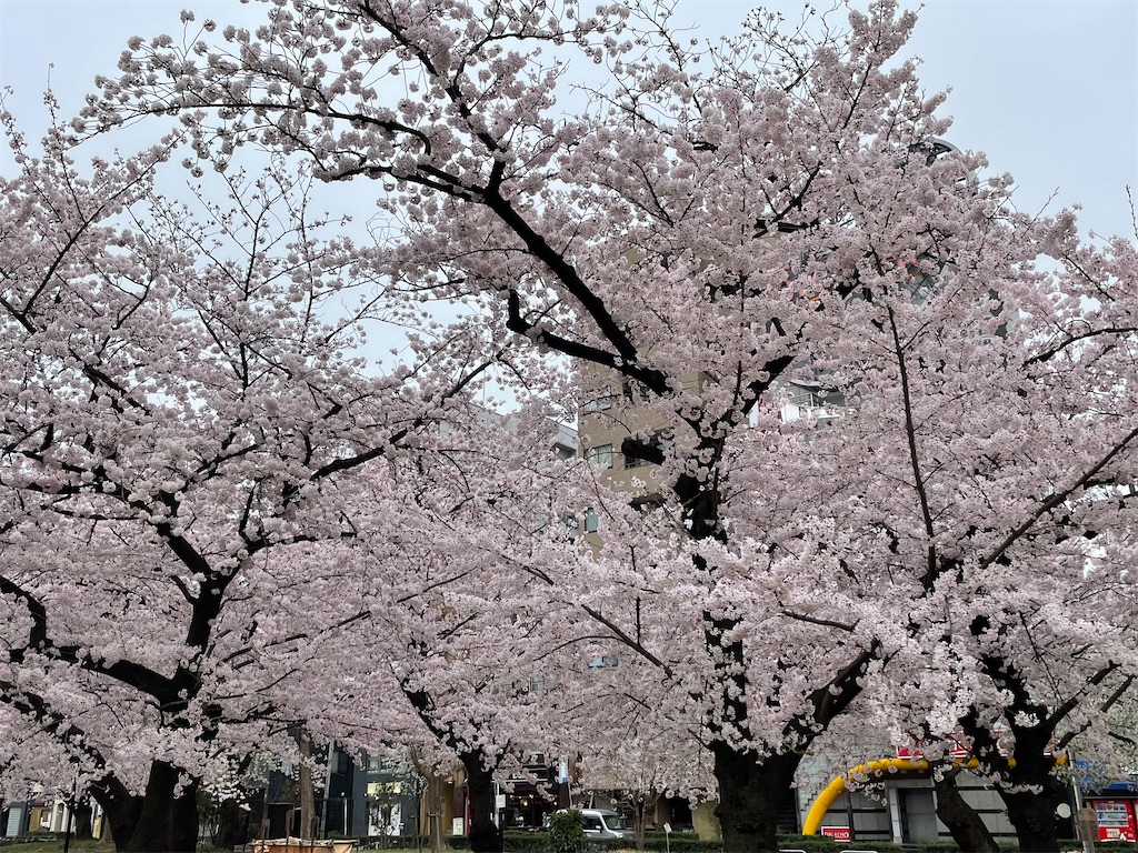 f:id:hmdance:20220403150850j:image