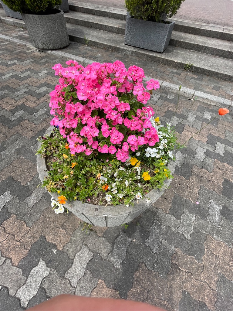 f:id:hmdance:20220506210813j:image