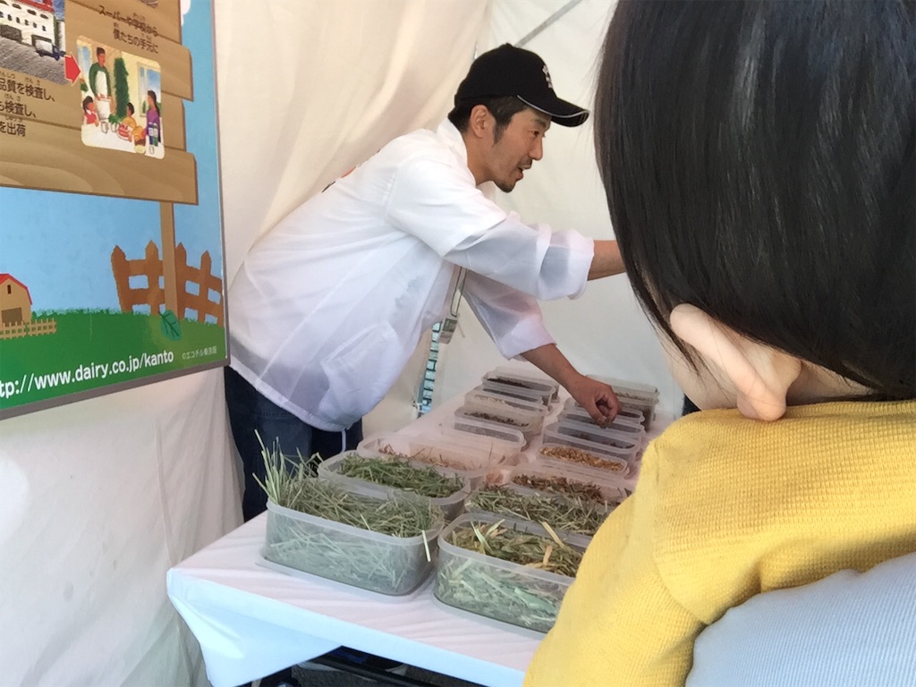 f:id:hmnduck:20190309215326j:plain