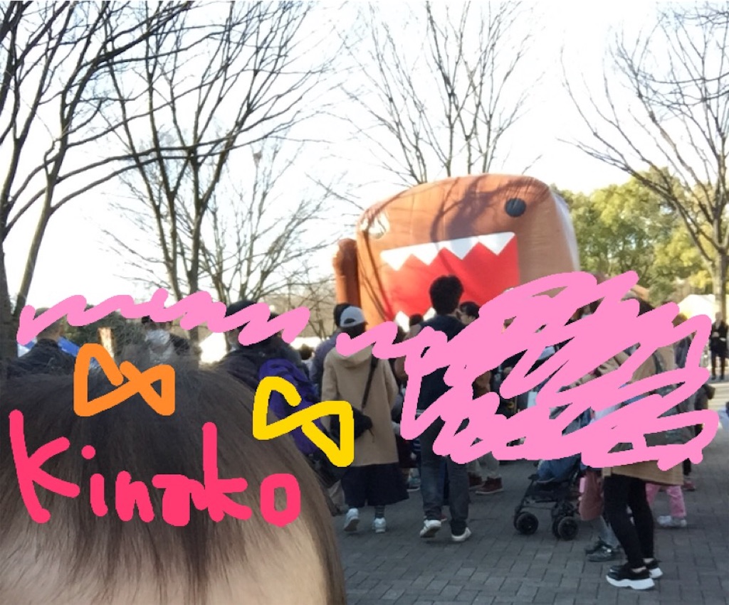 f:id:hmnduck:20190309215848j:image