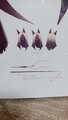 20240801161308