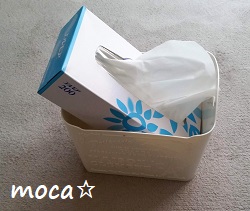 f:id:hmoca:20190915134008j:plain f:id:hmoca:20190915134008j:plain