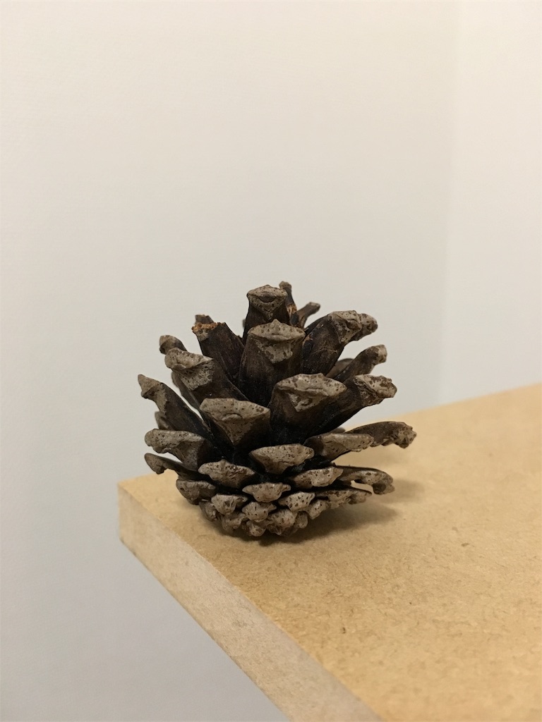 f:id:hmoco:20180612225513j:image