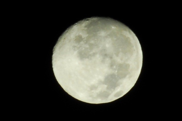 f:id:hms_hermes:20081113041640j:image