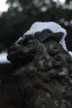 雪に耐えて
